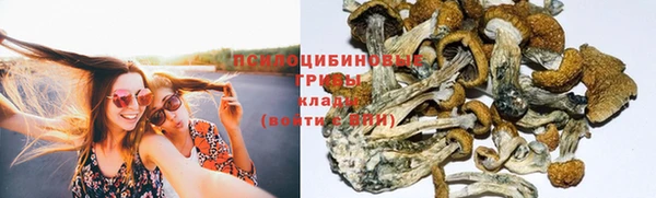 гидра Осташков