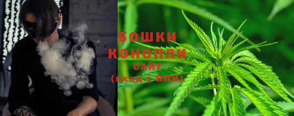 гидра Осташков