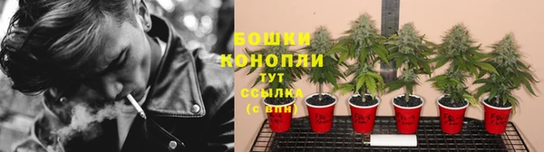 гидра Осташков