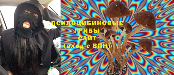 гидра Осташков