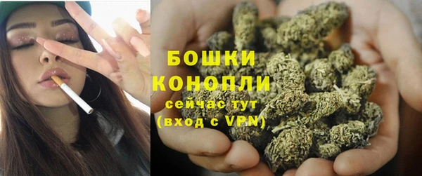 гидра Осташков